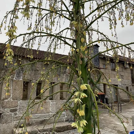 Havan House Amarante