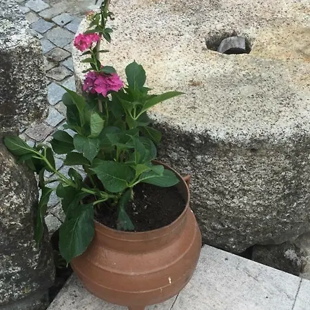 Havan House * Amarante