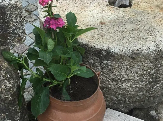 Havan House * Amarante